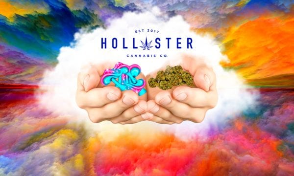 hollister c